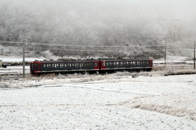 0113雪の平原115系2連.JPG
