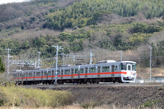 0303八家山陽5633.JPG