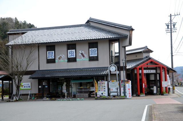0401谷汲駅昆虫館.JPG