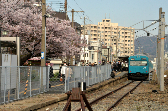 0406和田岬103系と桜_01.JPG