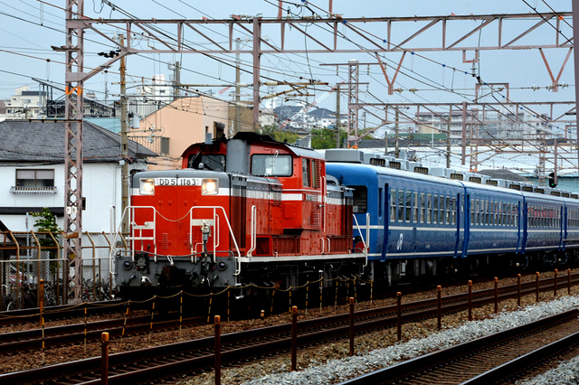 0502大蔵谷DD511183 -2.JPG