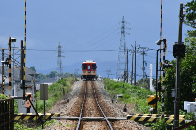 0705甘木鉄道小石原川AR305後追い遠望.JPG