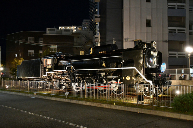 1102神戸D511072夜景5_01.JPG