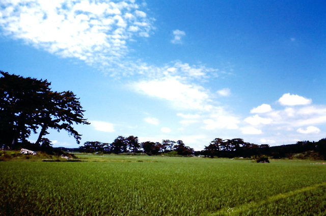 1987秋田象潟風景.jpg