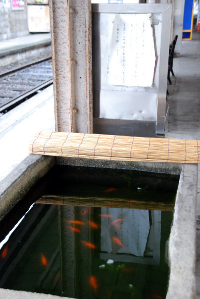 2011阪堺「住吉大社水槽.jpg