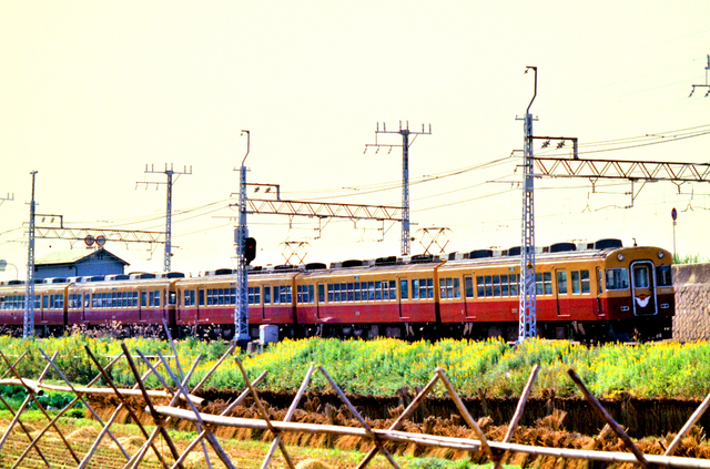 京阪橋本3000系3505.JPG