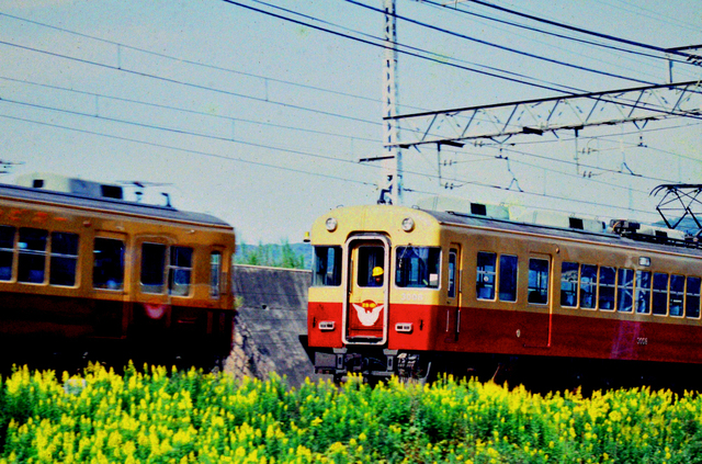 京阪橋本3008・3000系出会い.JPG