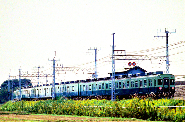 京阪橋本5002.JPG