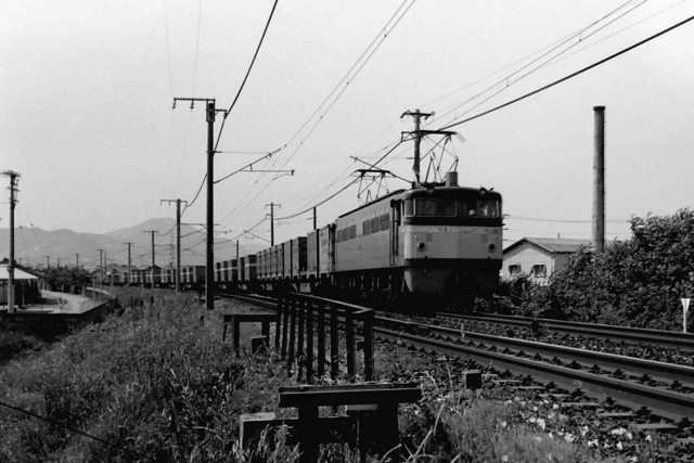 宝殿日本毛織横EF65108.jpg