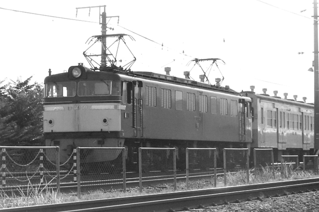 宝殿EF6059.jpg