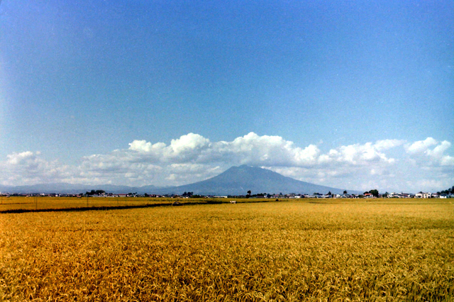 弘南田舎舘岩木山.JPG
