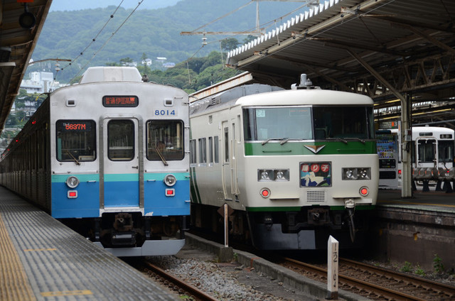熱海伊豆急8014・JR185.jpg