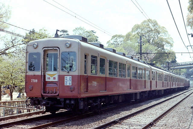 阪神7709須磨浦公園 (2).jpg