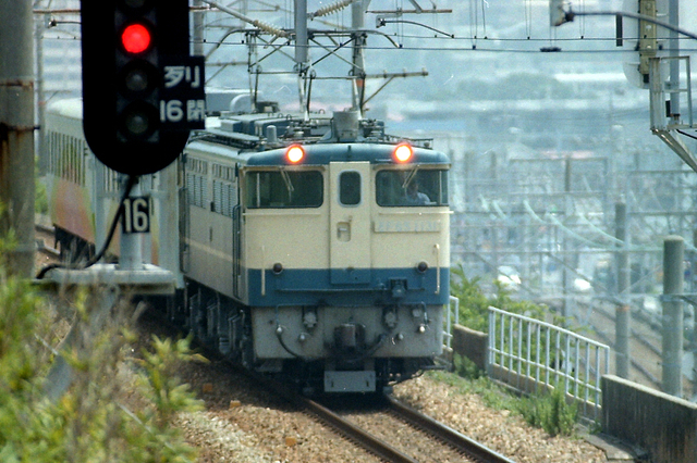 EF651131朝霧.jpg