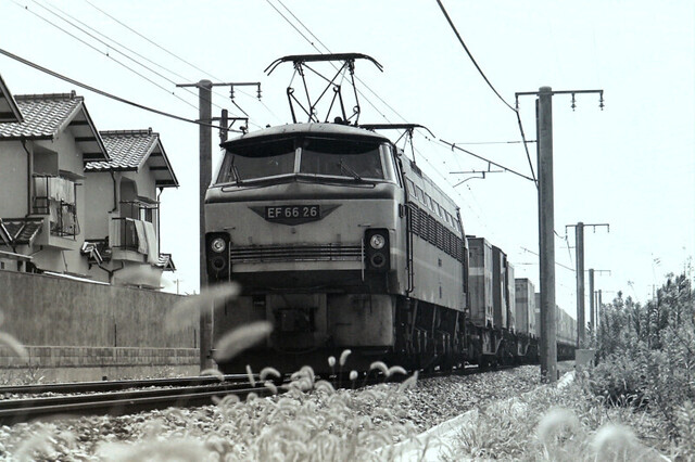 EF6626宝殿 (2).JPG