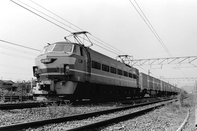 EF662宝殿 (2).jpg