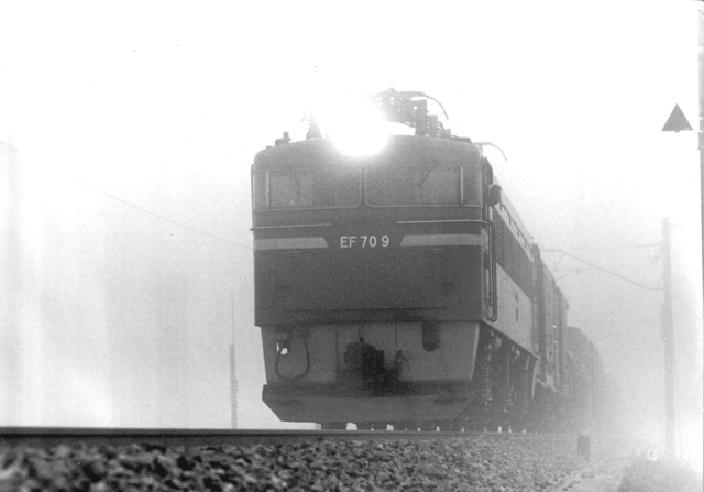 EF709倶利伽羅.jpg