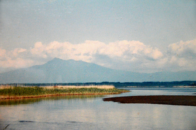 S62釧網線原生花園斜里岳.JPG