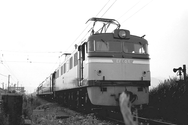 ef608宝殿.jpg