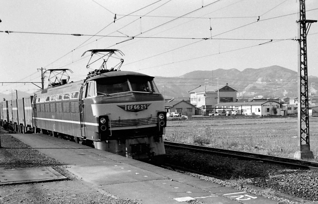 ef6625宝殿.jpg